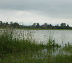 vyhledáno: Vodné