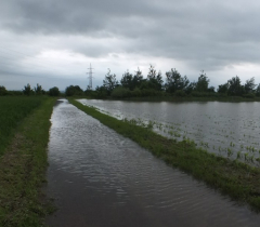 vyhledáno: Vodné