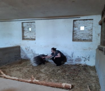 Výlet