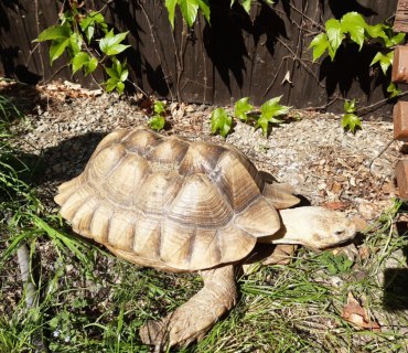 Výlet