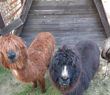 Výlet