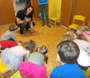 Zvířátka ve školce
