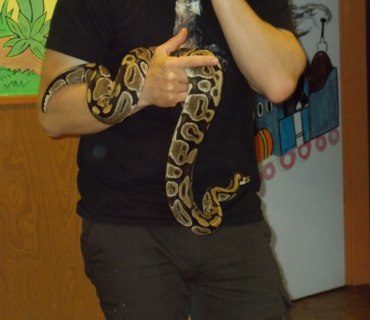 Zvířátka ve školce