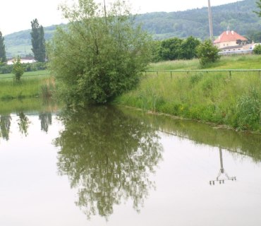 Příroda v Hlízově