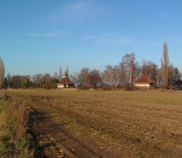 Podzimní Hlízov