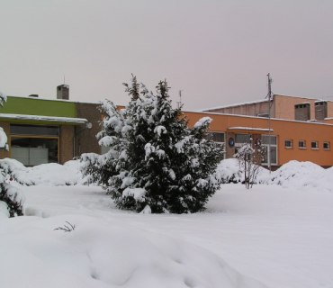 Zasněžený Hlízov