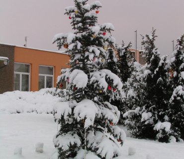 Zasněžený Hlízov
