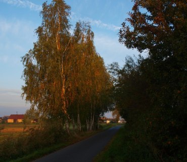 Podzimní procházka