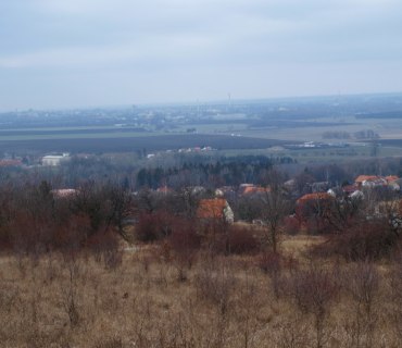 Kaňk