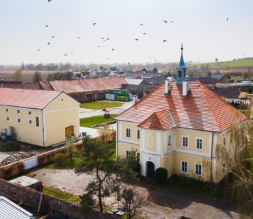 Hlízov Jaro 2024