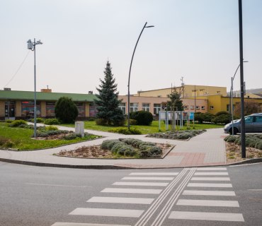 Hlízov Jaro 2024