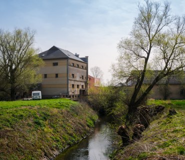 Hlízov Jaro 2024