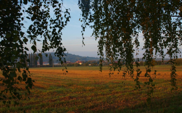 Podzimní procházka Podzimní procházka